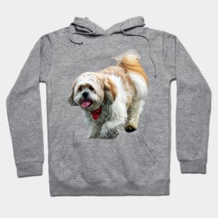 Shih Tzu Walking Hoodie